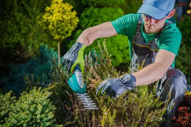 landscaping services Hastings-on-Hudson